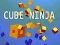 Peli Kuutio Ninja verkossa