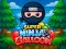Peli Super Ninja Balloon verkossa