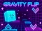 Peli Gravity Flip verkossa