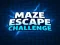 Peli Maze Escape Challenge verkossa