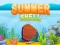 Peli Summer Shell verkossa Peli Summer Shell verkossa