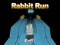 Peli Rabbit Run 3D verkossa