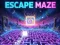Peli Escape Maze verkossa