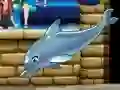 Peli Minun delfiiniesitykseni 6 verkossa
