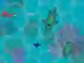 Peli Sharkz.io verkossa