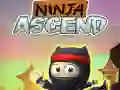 Peli Ninja Nousu verkossa Peli Ninja Nousu verkossa