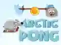 Peli Arktinen Pong verkossa Peli Arktinen Pong verkossa