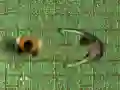 Peli Infektiolabyrintti verkossa Peli Infektiolabyrintti verkossa