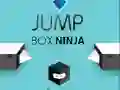 Peli Hyppykotelo Ninja verkossa