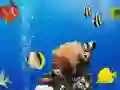 Peli Meren Alla Olevat Erot verkossa Peli Meren Alla Olevat Erot verkossa