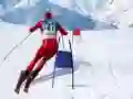 Peli Slalom-hiihdon simulaattori verkossa Peli Slalom-hiihdon simulaattori verkossa