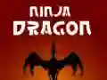 Peli Ninja Lohikäärme verkossa Peli Ninja Lohikäärme verkossa