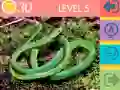 Peli 15 Kuvan Quiz verkossa Peli 15 Kuvan Quiz verkossa