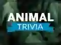 Peli Eläin Trivia verkossa Peli Eläin Trivia verkossa