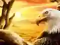 Peli Kotka verkossa Peli Kotka verkossa