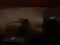 Peli Pelottava Viidakkosafari verkossa Peli Pelottava Viidakkosafari verkossa