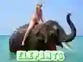 Peli Elefanttipuzzle verkossa Peli Elefanttipuzzle verkossa