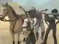 Peli Hevossimulaattori verkossa