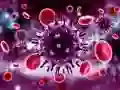 Peli Koronavirus Palapeli verkossa Peli Koronavirus Palapeli verkossa