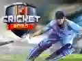 Peli Cricket 2020 verkossa Peli Cricket 2020 verkossa