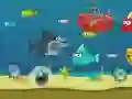 Peli Hulluksi Mennyt Hai verkossa Peli Hulluksi Mennyt Hai verkossa