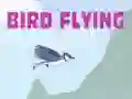 Peli Linnun lento verkossa Peli Linnun lento verkossa