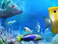 Peli Mennään Kalastamaan verkossa Peli Mennään Kalastamaan verkossa