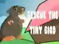 Peli Pelasta pieni lintu verkossa Peli Pelasta pieni lintu verkossa