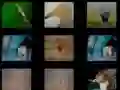 Peli Eläinmuisti verkossa Peli Eläinmuisti verkossa