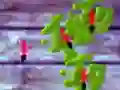 Peli Murta Murkut verkossa Peli Murta Murkut verkossa