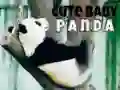 Peli Söpö vauva pandakarhu verkossa Peli Söpö vauva pandakarhu verkossa