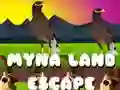 Peli Myna Landin Pako verkossa Peli Myna Landin Pako verkossa