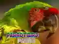 Peli Papukaijapalapeli verkossa Peli Papukaijapalapeli verkossa
