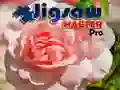 Peli Palapelin Mestari Pro verkossa