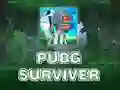 Peli PUBG Eloonut verkossa Peli PUBG Eloonut verkossa