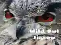 Peli Villilinnun Palapeli verkossa Peli Villilinnun Palapeli verkossa