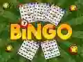 Peli Bingo Paljastettuna verkossa Peli Bingo Paljastettuna verkossa