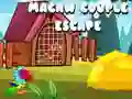 Peli Ara-parin Pakoon verkossa Peli Ara-parin Pakoon verkossa
