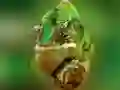 Peli Kameleonttipulma verkossa