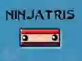 Peli Ninjatris verkossa