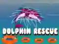 Peli Delfiinien pelastaminen verkossa Peli Delfiinien pelastaminen verkossa
