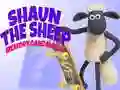 Peli Shaun Lammas: Muistipeli verkossa