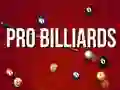Peli Ammattilaistason Biljardi verkossa
