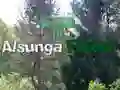 Peli Paluu Alsungan metsään verkossa Peli Paluu Alsungan metsään verkossa