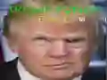 Peli Trump Hauska Kasvot verkossa Peli Trump Hauska Kasvot verkossa