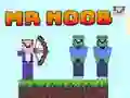 Peli Herra Noob verkossa