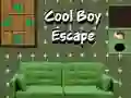 Peli Cool Pojan Pako verkossa