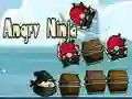 Peli Vihaisena Ninja verkossa Peli Vihaisena Ninja verkossa