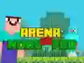 Peli Arena: Noob vs Pro verkossa