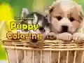 Peli Pentukuvitus verkossa